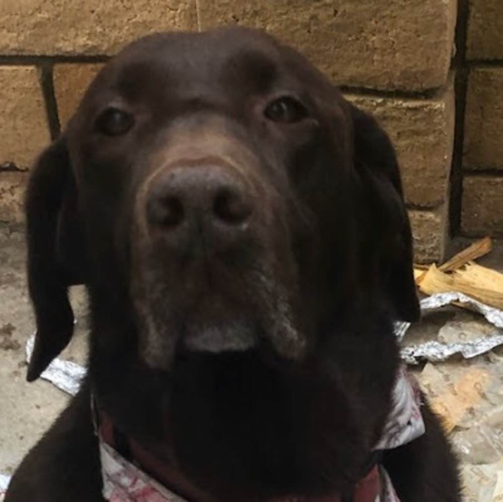 Meet your Posher, Luke